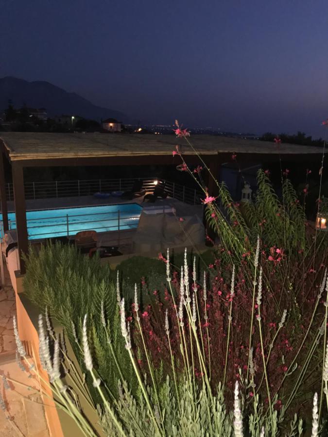 Villa Verde アノ・カロ・ネロ エクステリア 写真